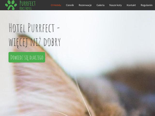 Purrfect Koci Hotel
